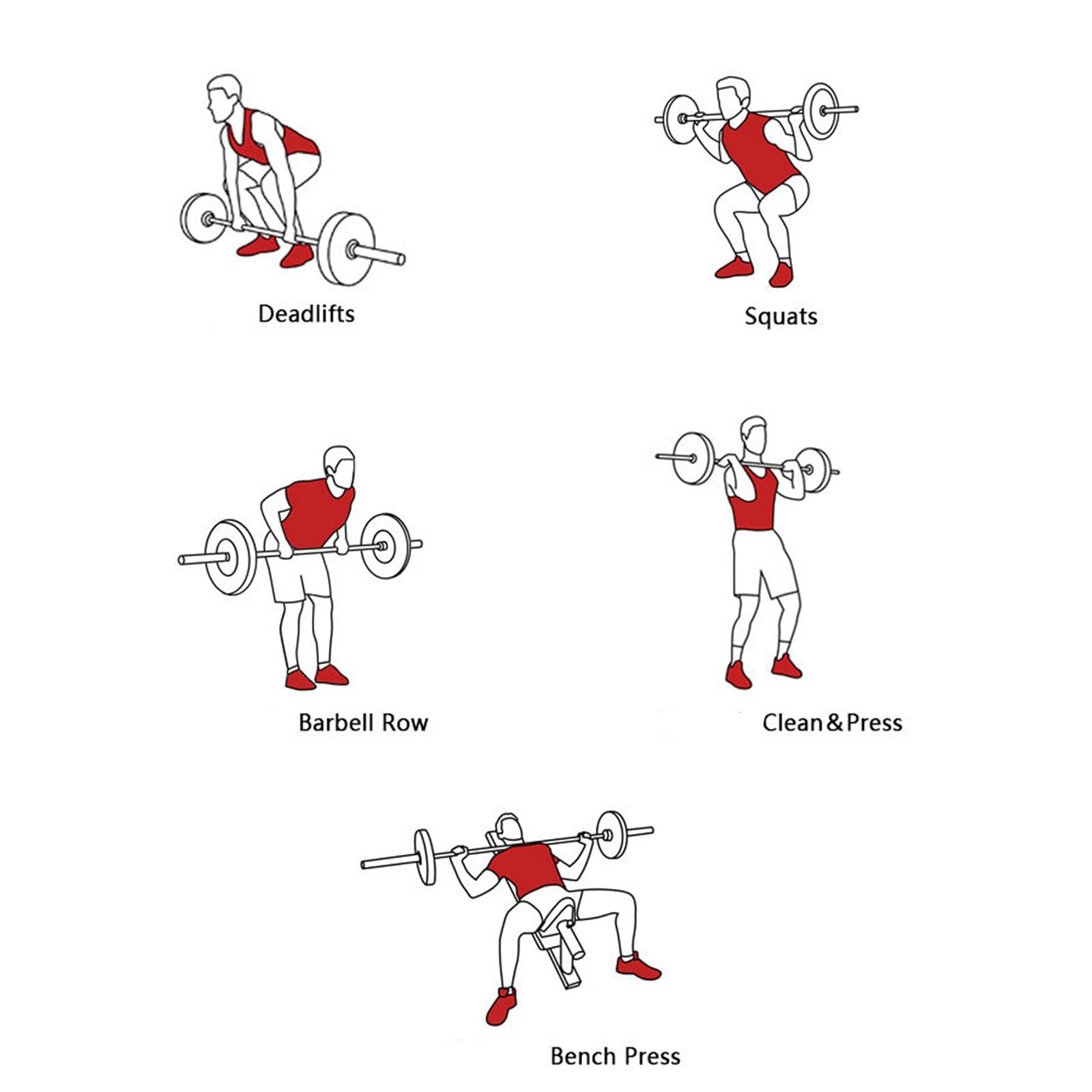 Cintura di sollevamento pesi per uomo donna cintura da palestra in pelle per sollevamento pesi legname posteriore regolabile per powerlifting