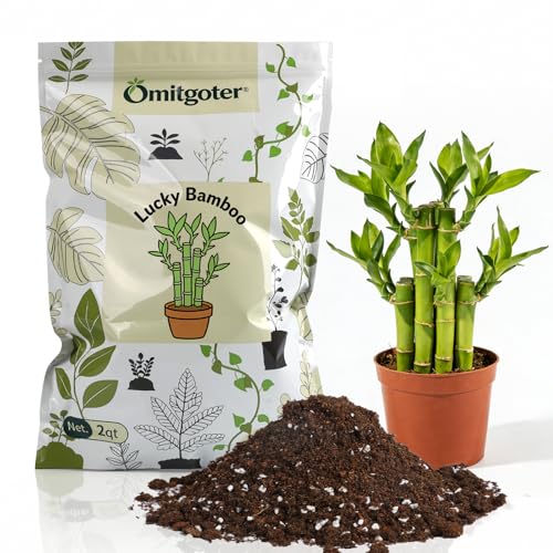Omitgoter Pure Natural Potting Soil for Lucky Bamboo Plants 1qt - Superior Drainage & Breathability,...