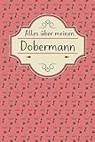 dobermann nothilfe andere rassen  ALLES ÜBER MEINEN DOBERMANN: Tolles Buch für alle Informationen über deinen Hund