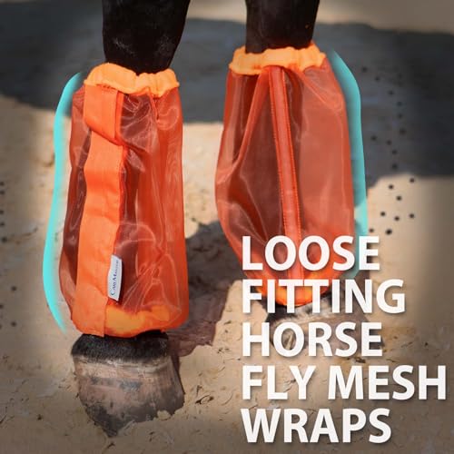 Image of Universal Size Horse Leggings Fine Mesh Greatly Reduce Stomping Breathable Horse Boots Leg Wraps (Set of 4) Orange