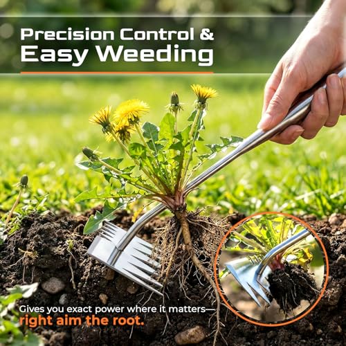 LOOHOI Hand Weeder Tool