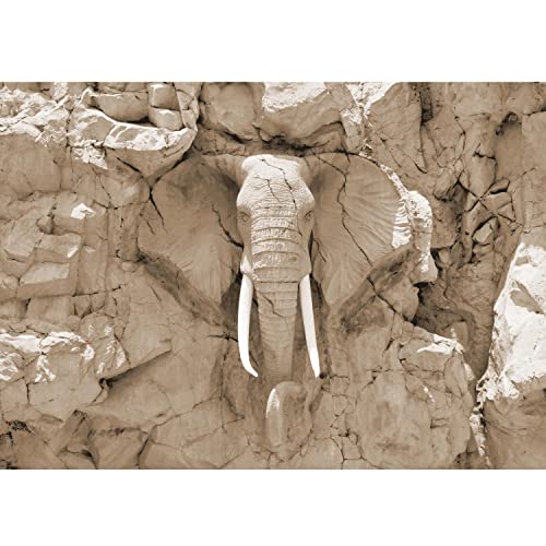 Runa Art Papel tapiz fotográfico elefante de África 352 x 250 cm Lana Fondo De Pantalla XXL Moderna Decoración De Pared Sala Cuarto Oficina Salón marrón 9398011b