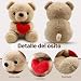 Imagen de QIGEEKU Oso de Peluche, Osito de Peluche con Amor