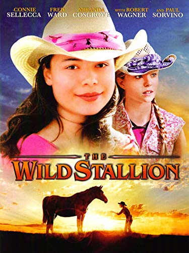 The wild stallion