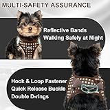 AIITLE Verstellbares Hundegeschirr und Leinen-Set, weiches Netzgewebe, reflektierendes Karomuster, Welpen und Hauskatzen, zum Spazierengehen und Laufen im Freien, Schokolade, XS