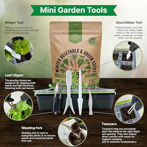 Organo Republic 25 Winter Vegetable & Green Seeds Variety Pack for Outdoors & Indoor Home Gardening 27670+ Non-GMO Heirloom Seeds: Broccoli Beet Carrot Collard Lettuce Radish Spinach Pea Kohlrabi - Image 6