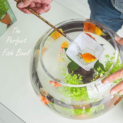 Cys Excel Glass Bubble Bowl (H-7.5" W-10", Approx. 2 Gal.) Multiple Size Choices Fish Bowl Vase Glass Round Bowl Terrarium Globe Flower Vase Centerpiece #TOP2