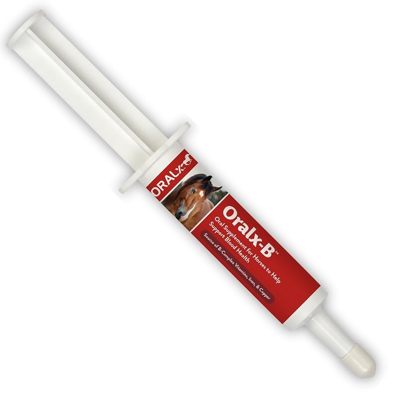 Suplemento Oral para Cavalos Oralx-B com Complexo de Vitaminas B e Minerais Quelatados em Pasta — 1 Seringa de 34 g