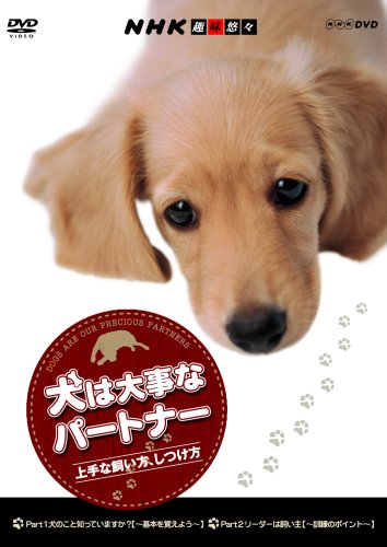 ◇犬のしつけ本・DVD美品の出品です！