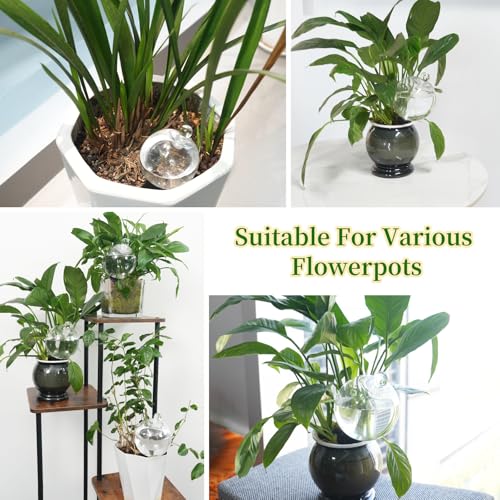 2pcs Plant Self Watering Globes with Covers, Plastic Water Bulbs Top Fill, Plant Watering Devices System Slow Release Terracotta, Water Spikes Stakes for Indoor(2)