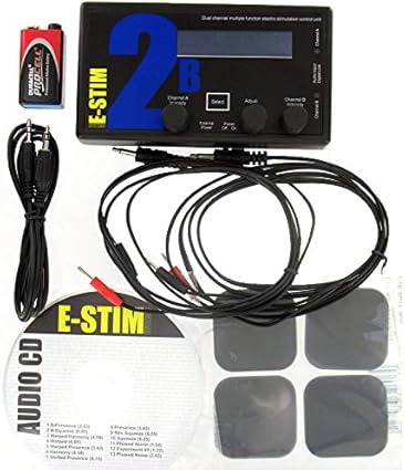 E-Stim Systems 2B Electro Sex Power Box