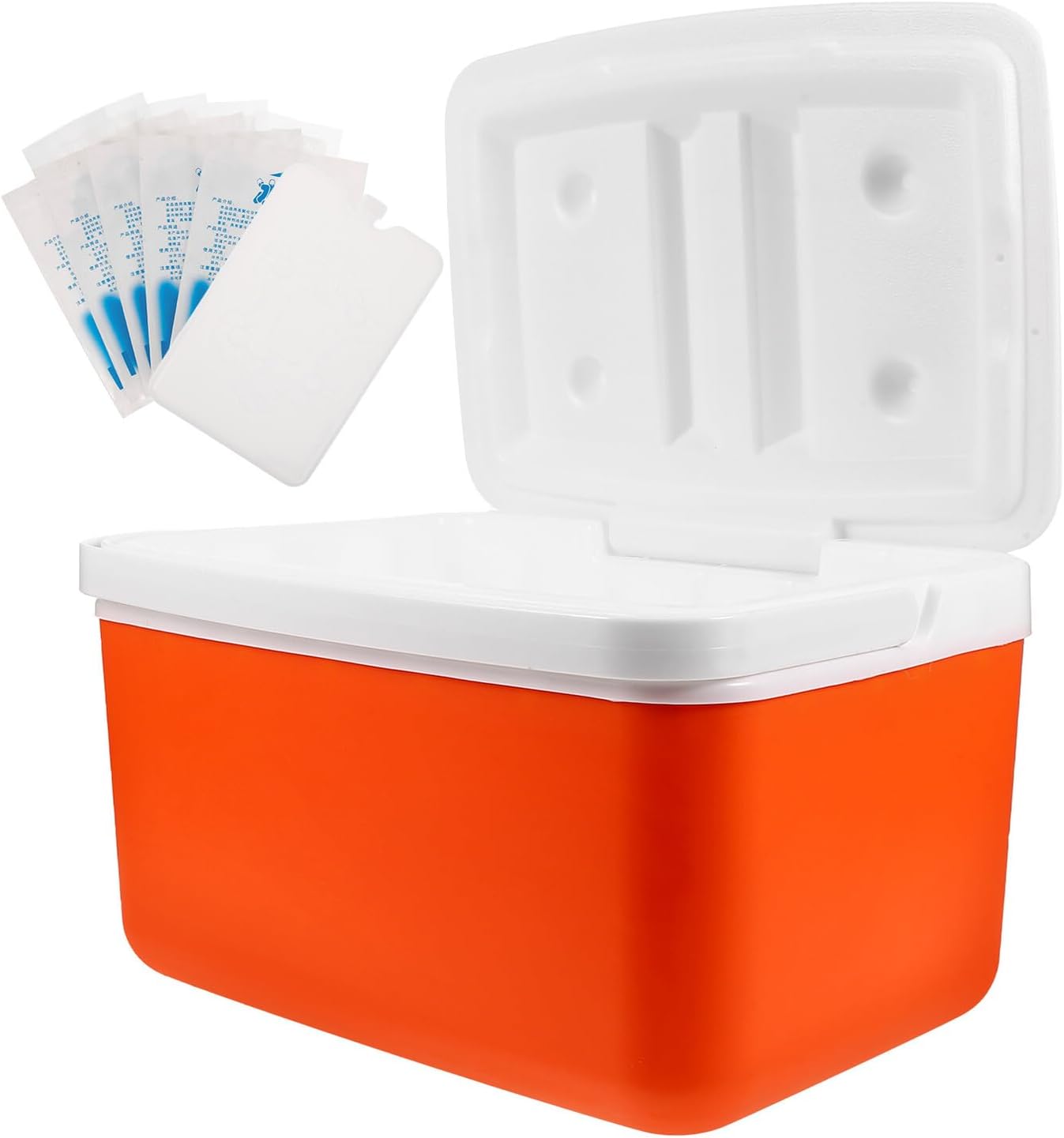 Happyyami Portable 9l Insulated Cooler Box with Handle, Car Fridge Cooler for Outdoor Camping and Picnic, Thermal Storage Container with 5 Ice Packs and Ice Plate, Orange