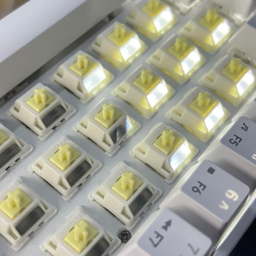 Image of Gateron Cream Silent Keyboard Switches,Pre-lubed 45gf 5-Pin Linear Switches SMD LED Full POM with Light Guide Pole for MX Mechanical Gaming Keyboard(72Pcs,Cream Silent)