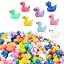 Duck Colorful