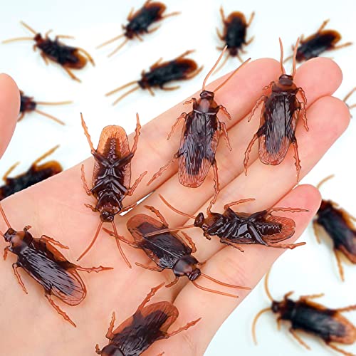 Wirrabilla Premium Fake Cockroaches, Pretty Realistic Fake Roaches, Great Way to...