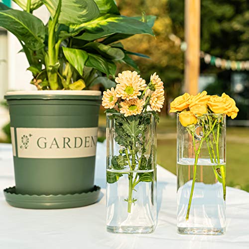Pacdona Wall Hanging Planter Glass Terrariums - Rectangle Shape Plants Holders Air Plants Succulents Planters Wall Flower Vase Containers For Plant, Decoration And Display，2 Pack #TOP3