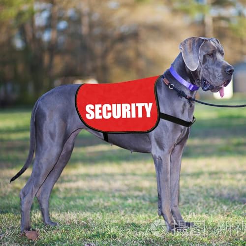 Gilet de sécurité pour chien avec slogan JXGZSO gilet d'avertissement taille L - 4