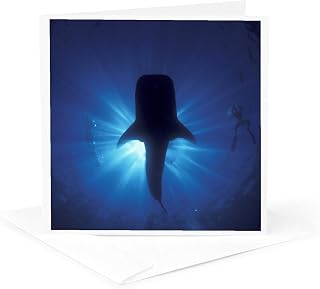 3dRose Greeting Card - Australia, Ningaloo Reef. Whale shark, snokelers-AU02 SWE0001 - Stuart Westmorland - Snorkeling