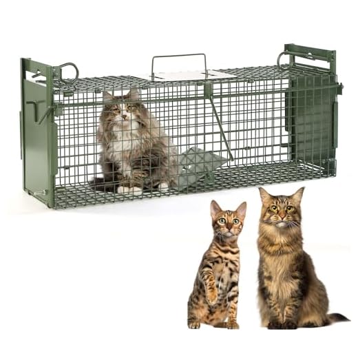 Large Two-Door Animal Trap