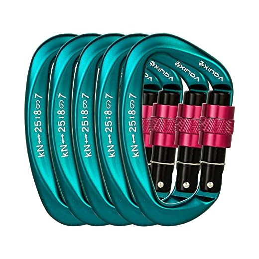 Professional Locking Carabiner Clip Set