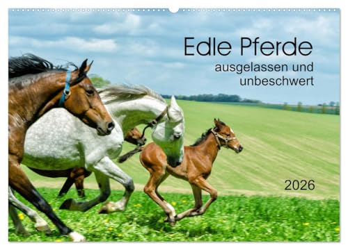 Elegant Horses - Exuberant and Carefree (Wall Calendar 2026 DIN A2 Landscape), CALVENDO Monthly Calendar: Horses in Trot and Gallop on the Paddle