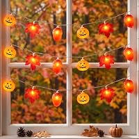 Liyade Herbst Deko Lichterkette mit Timer, 3m 20 LED, 3 Lichtmodi – Ansicht 8