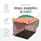 Molly Mutt Box Cover