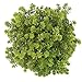 Artificial Flower 4bundles Outdoor UV Resistant Plants Shrubs Boxwood Plastic Leaves Fake Bushes Greenery for Farmhouse Home Kitchen Window Box Patio Yard Indoor Garden Office Wedding Decor(Green)