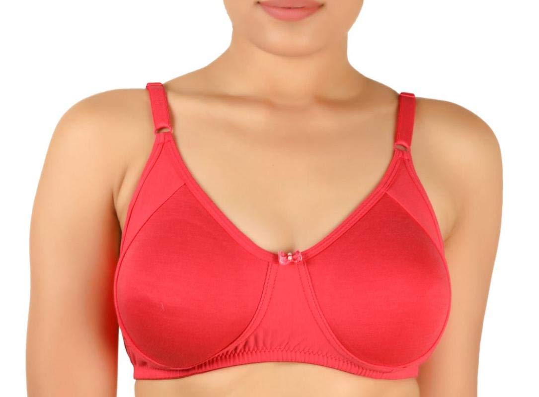 Tanishqa Daisy Dee College Style Bra (Rebel Crimson Red 40 B)