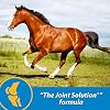 Farnam Fluidflex Liquid Joint Supplement for Horses, Helps Maintain Healthy Hip & Joint Function, 32 Ounces 32 Day Supply