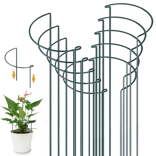 YeahBoom 10 Stück Pflanzenstützen Halbrund Pflanzenstütze...