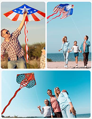 3 Pack Large Kites - Red Giant Snake Kite National Flag Delta, Sea Eagle Kites With Long Colorful Tail Easy To Fly Single Line Kite With Flying Tools, Great Gift For Kids Adults Age 3 4 5 6 And Up #TOP2