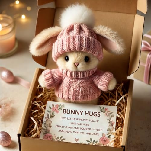 Mini Bunny Hug Cute Easter Gift - A Little Bundle of Love & Comfort 2025 New Mini Rabbit Positive Plush Animals Inspirational Easter Gifts for Women Men Emotional Motivational Bunny Decor (Style A)