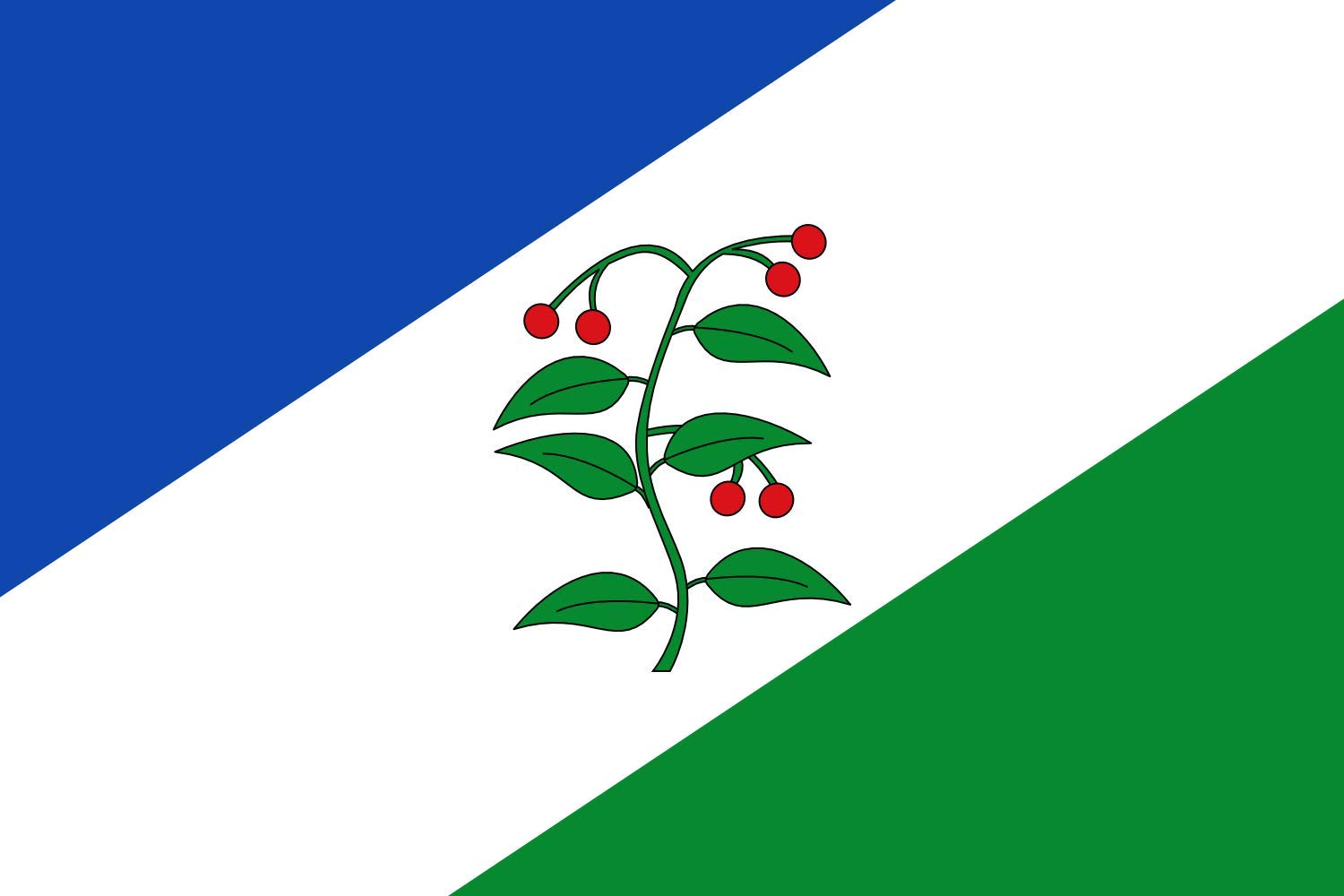 Grand drapeau d Arbúcies avec bordure facile pour mât de mairie