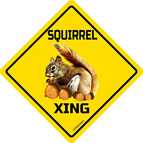 Image of SQUIRREL Xing Crossing Sign Funny Novelty Metal Tin Sign for Bar Club Country Home Coffee Shop Indoor& Outdoor Decor Yellow Street Sign 12X12inch