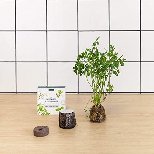 Tregren T3 Potager d'intérieur Connecté 3 plantes, Kit prêt à pousser et Jardinière Autonome pour herbes aromatiques, petits légumes, fleurs - Cultivez avec votre application smartphone - Blanc Tregren T3 Potager d'intérieur Connecté 3 plantes, Kit prêt à pousser et Jardinière Autonome pour herbes aromatiques, petits légumes, fleurs - Cultivez avec votre application smartphone - Blanc