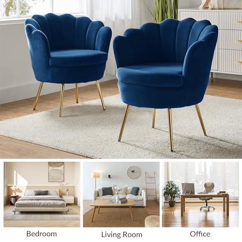 Image of HULALA HOME Modern Velvet Accent Chair with Shell Shaped Back, Cute Living Room Bedroom Armchair Sofa Chair with Gold Legs, Comfy Upholstered Vanity Chair for Makeup Room, Navy