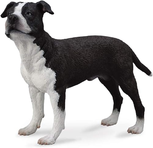 CollectA American Staffordshire Terrier