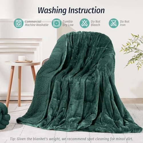 Wemore Sherpa Fleece Weighted Blanket for Adult, 15 lbs Dual Sided Cozy Fluffy Heavy Blanket, Ultra Fuzzy Throw Blanket with Soft Plush Flannel Top, 80 x 87 inches, Green on Both Sides
