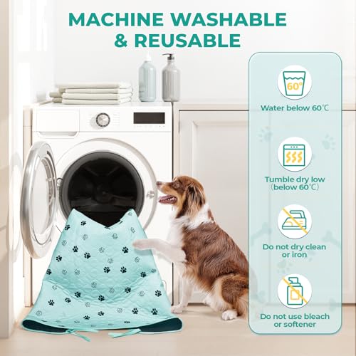 Image of Fostanfly Washable Pee Pads for Dogs, 2 Pack Large 31 inchx36 inch Ultra-Absorbent and Leak-Proof Non-Slip Reusable Potty Training Pads for Dogs, Cats, Puppy, Potty of Add 8 Lanyards, Green