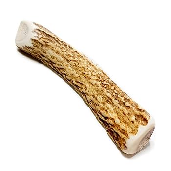 No.1850『鹿角4つ割り50本セット』鹿の角 エゾ鹿 鹿角 蝦夷