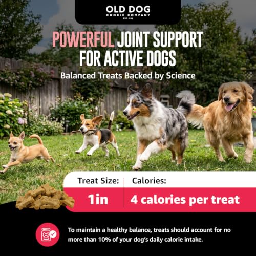 Image of Old Dog Cookie Company Hip and Joint Support Tiny Treats | All Natural Arthritis Relief, 4 Calorie | Joint Support for Every Stage of Life | Small, Medium & Large Breeds | 8 oz