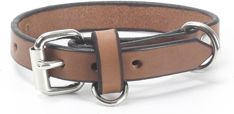 Wangou Pet Toys Coller