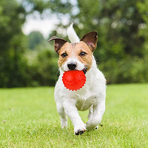 4 Pack Pet Toy Balls with Sound, Dog Squeaky Ball Sound Toys, with Non