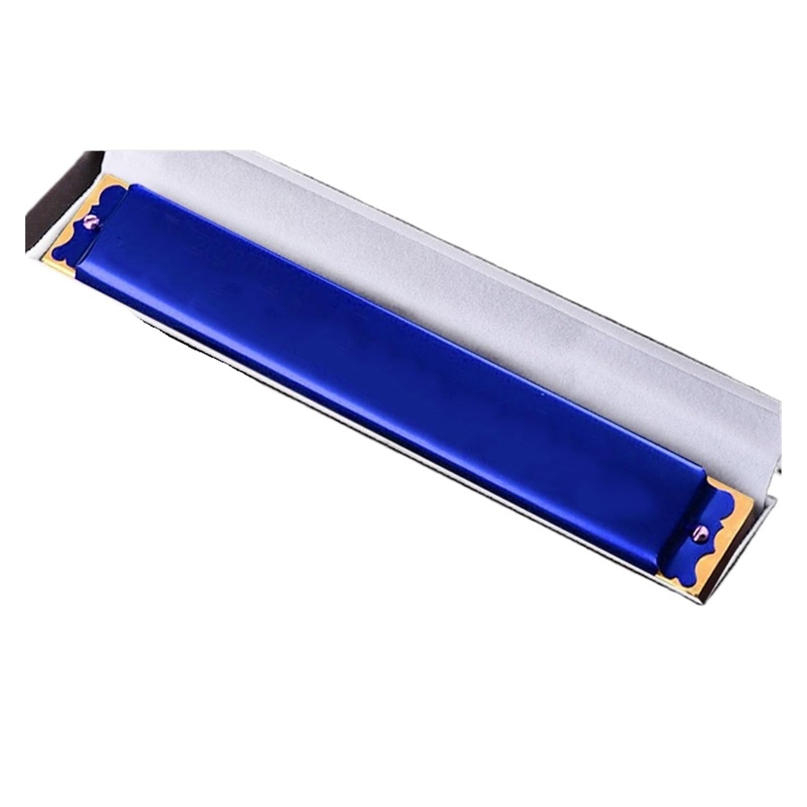 Armonica A Bocca Polifonica A 24 Fori Tonalità Do Tono Uguale Per Principianti Adulti Professionale Strumento Musicale A Colori Armonica(Blue G)