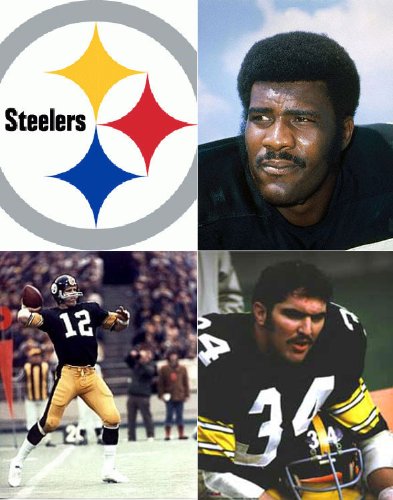 Pittsburgh Steelers 1970: A Game-by-Game Guide (English Edition)