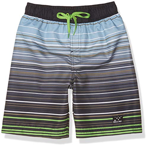 Big Chill Boys' Printed Swim Trunks