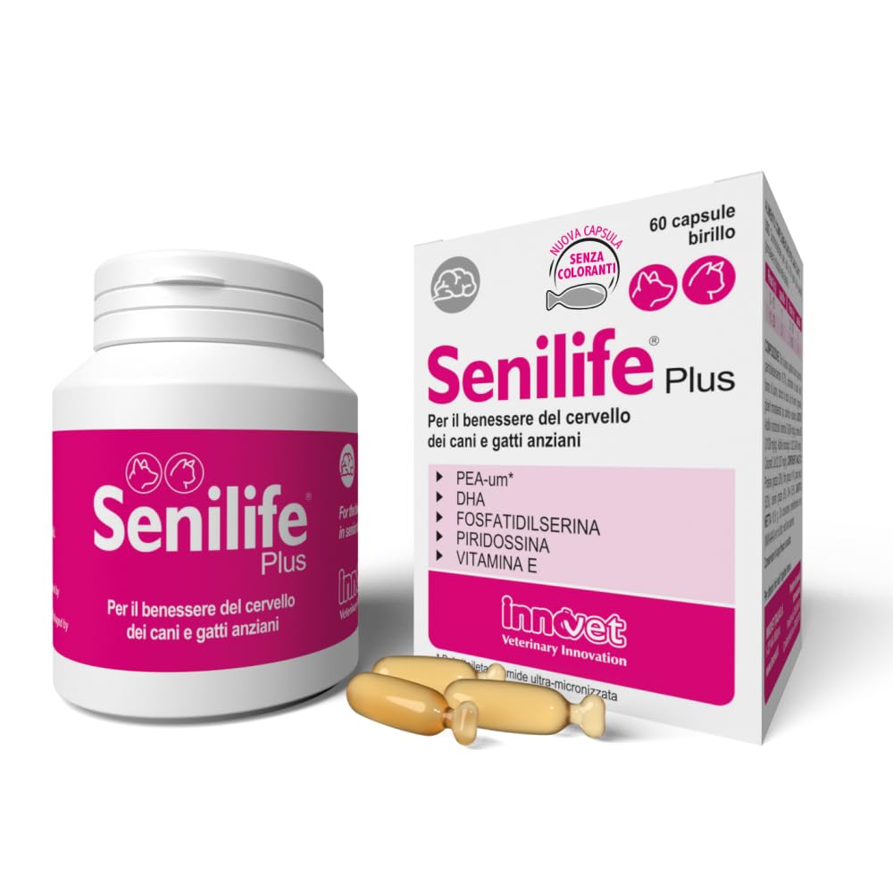 Innovet Senilife Plus – 60 Capsules Birillo – Support for Cerebral Well-Being of Elderly Dogs and Cats – Helps Memory and Cognitive Functions – With PEA-um, DHA, Vitamin E, Vitamin B6 and
