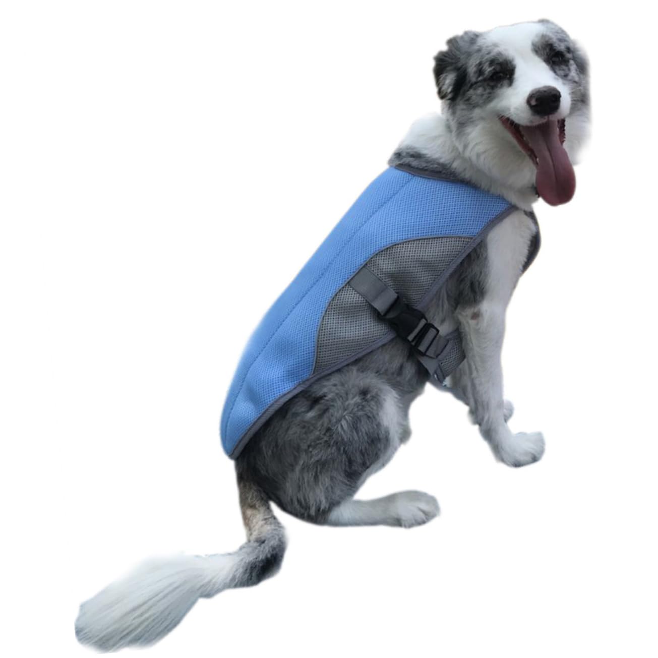 Gilet rafraîchissant pour Animaux de Compagnie Manteau d'été Confortable en Maille pour activités de Plein air Taille XL