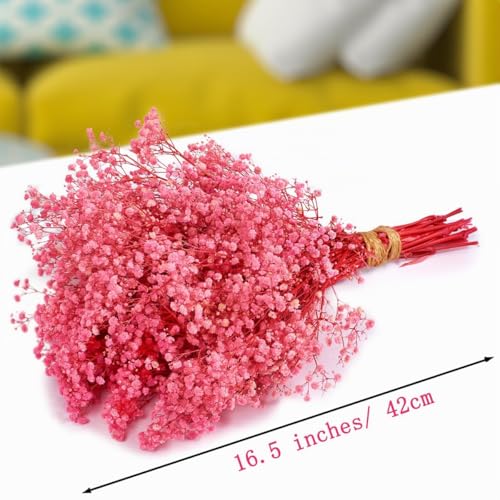 Miniatura 2 de Gipizi Rosa Gypsophila Seca, 100 Natural Gypsophila Flores Secas Más De 3000 Capullos De Flores Para Veilweed Para Boda, Decoración Del Hogar, Bricolaje Y Fiesta Rosa